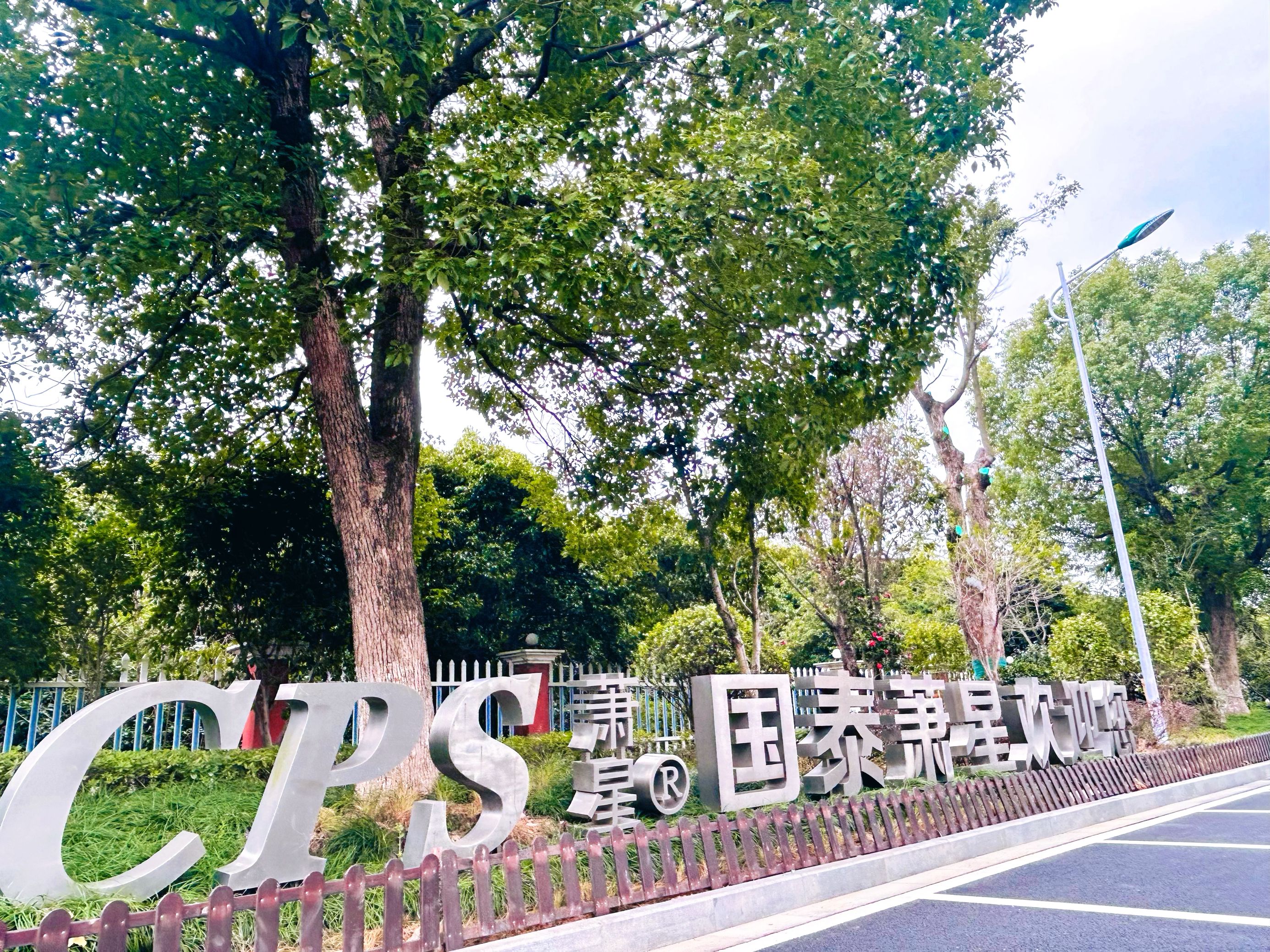 1742955466485562.jpg 8.jpg